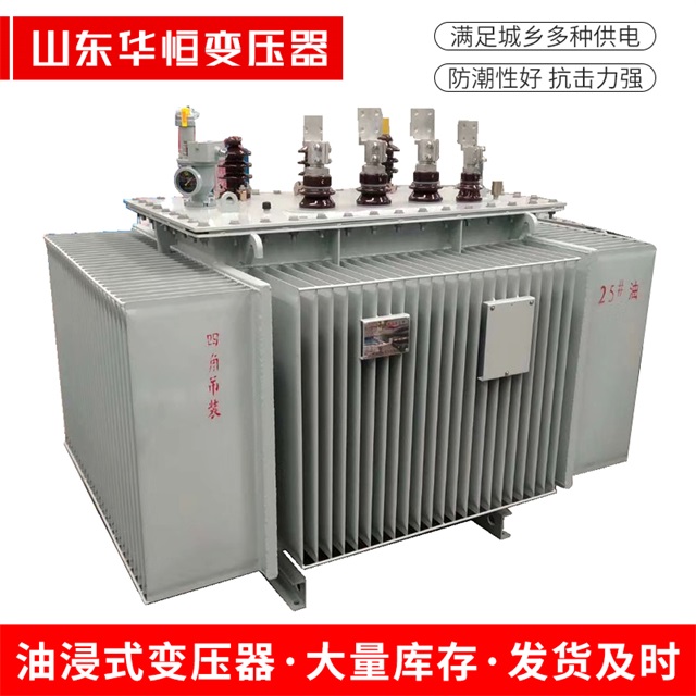 S13-10000/35洋县洋县洋县电力变压器厂家